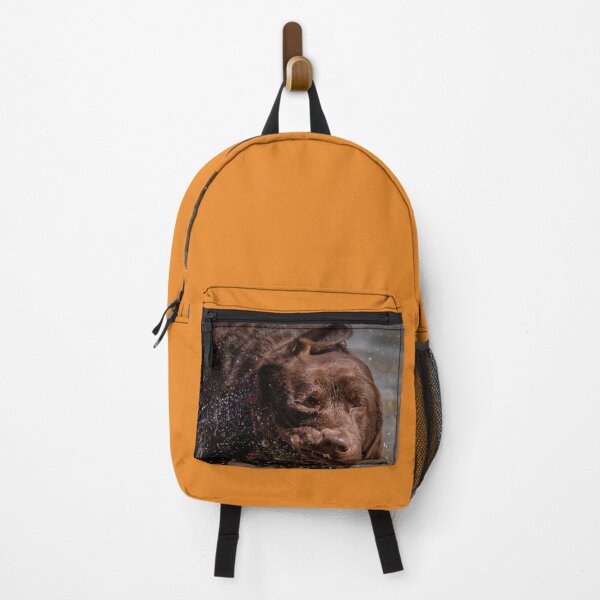 Item preview, Labrador after swimming in Lake Constance designed and sold by OskiOnTour.