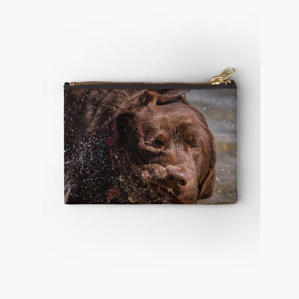 Item preview, Labrador after swimming in Lake Constance designed and sold by OskiOnTour.