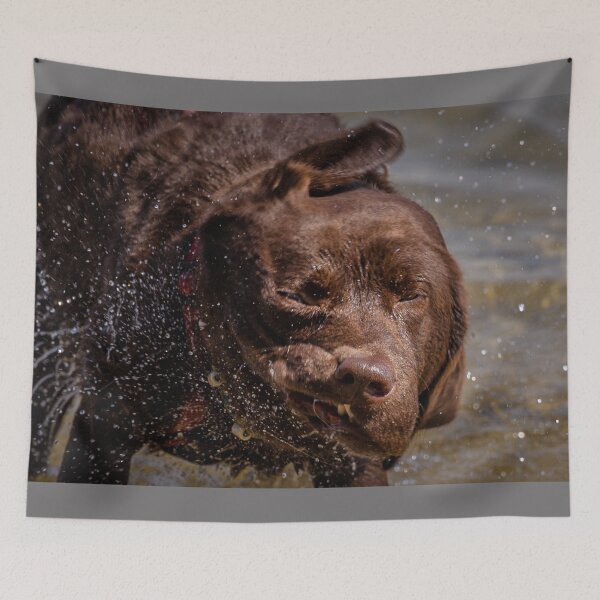 Item preview, Labrador after swimming in Lake Constance designed and sold by OskiOnTour.