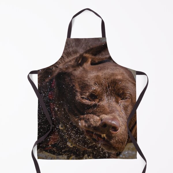 Item preview, Labrador after swimming in Lake Constance designed and sold by OskiOnTour.
