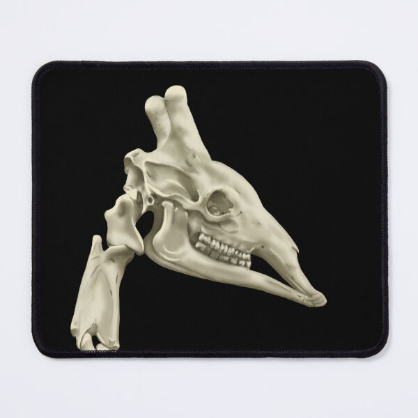 Item preview, Giraffe skeleton designed and sold by Milanicole.