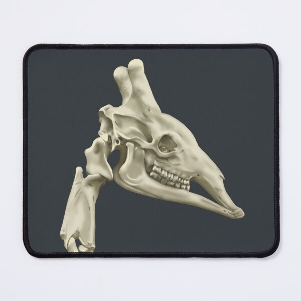 Item preview, Giraffe skeleton designed and sold by Milanicole.
