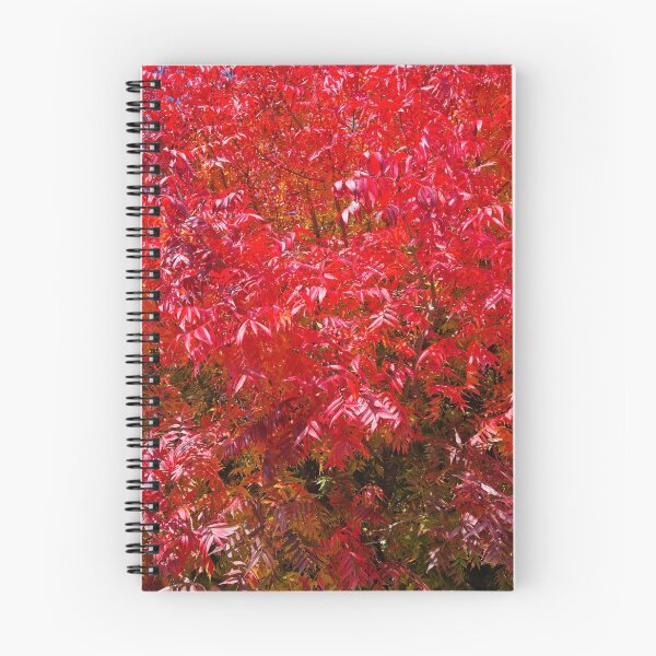 Item preview, Beautiful intense red autumn leaves designed and sold by Dani Vittz.