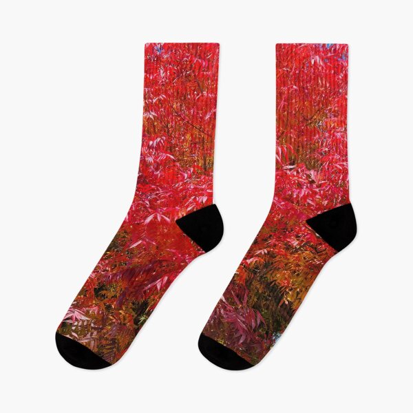Item preview, Beautiful intense red autumn leaves designed and sold by Dani Vittz.