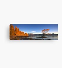 Lake Wanaka Canvas Print