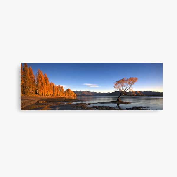 Lake Wanaka Canvas Print