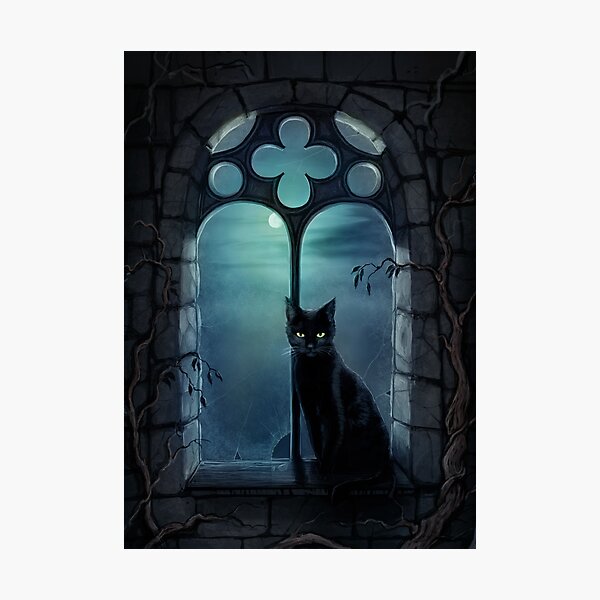 The Window Photographic Print