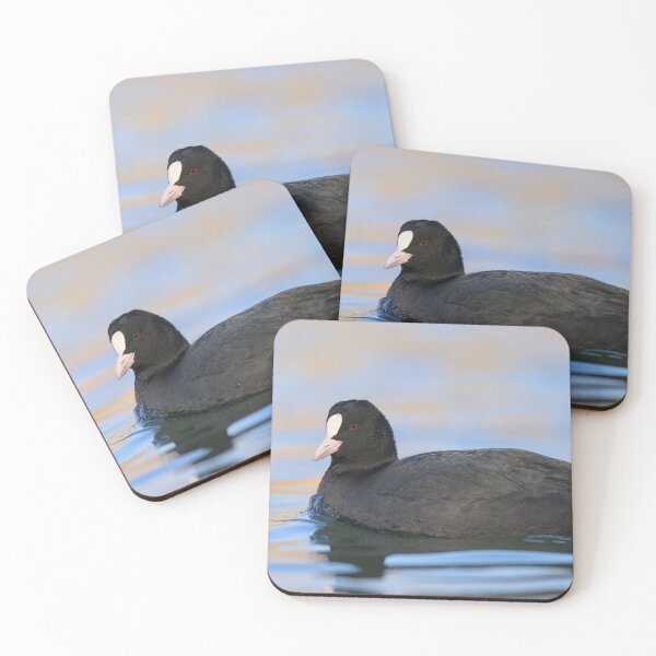 Item preview, a Eurasian Coot swimming on a lake designed and sold by Stefan Rotter.