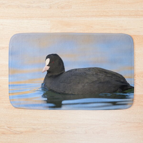 Item preview, a Eurasian Coot swimming on a lake designed and sold by Stefan Rotter.