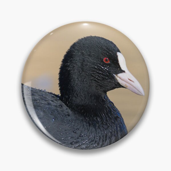 Item preview, a Eurasian Coot swimming on a lake designed and sold by Stefan Rotter.