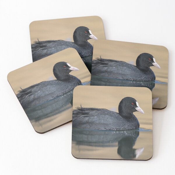 Item preview, a Eurasian Coot swimming on a lake designed and sold by Stefan Rotter.