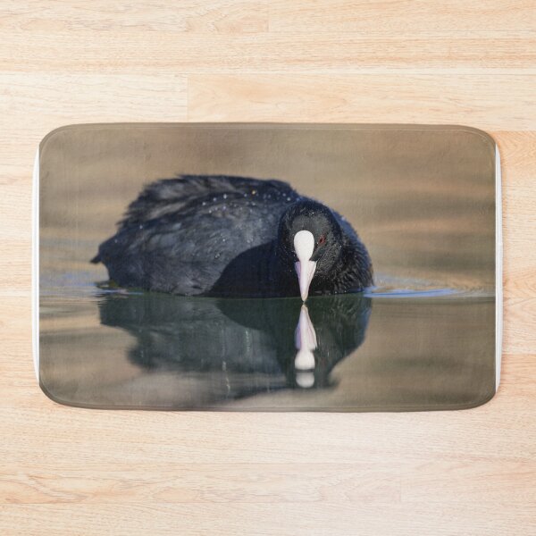 Item preview, a Eurasian Coot swimming on a lake designed and sold by Stefan Rotter.