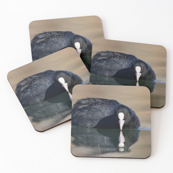 Item preview, a Eurasian Coot swimming on a lake designed and sold by Stefan Rotter.