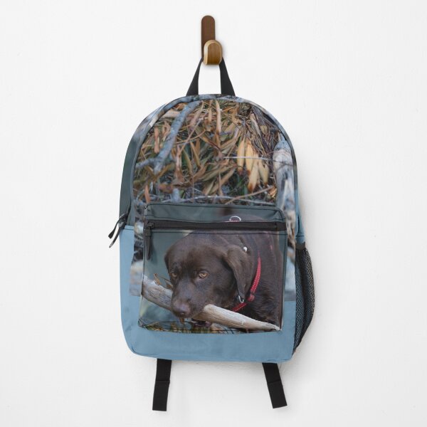 Item preview, Labrador at Lake Constance designed and sold by OskiOnTour.