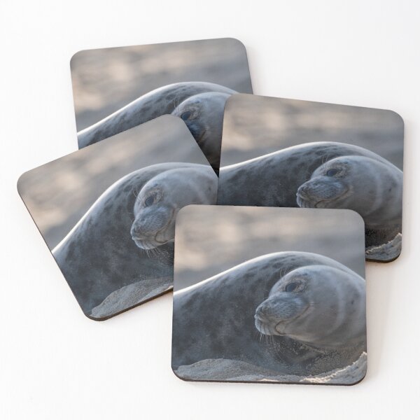Item preview, Norfolk seal laying on the beach designed and sold by cdkphotos.