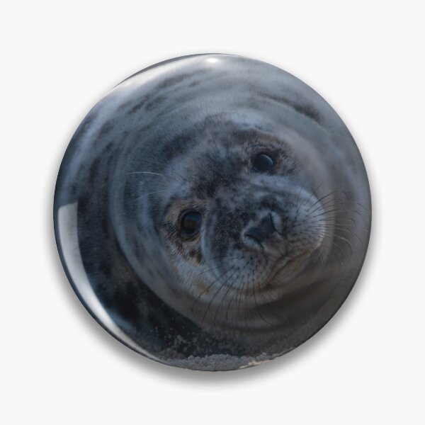 Item preview, Grey seal on the beach designed and sold by cdkphotos.