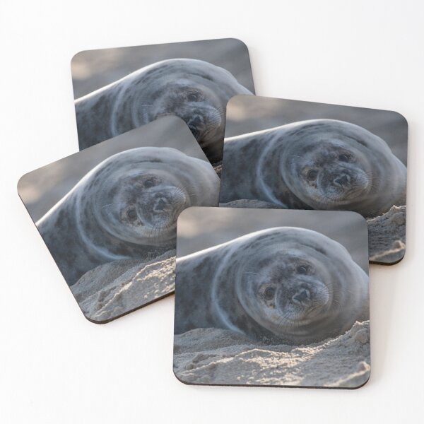 Item preview, Grey seal on the beach designed and sold by cdkphotos.
