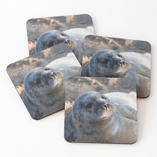 Item preview, Seal pup close up designed and sold by cdkphotos.