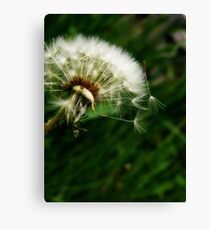 Bullets Canvas Print