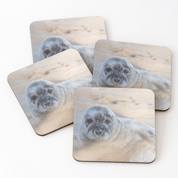 Item preview, Seal on the beach designed and sold by cdkphotos.
