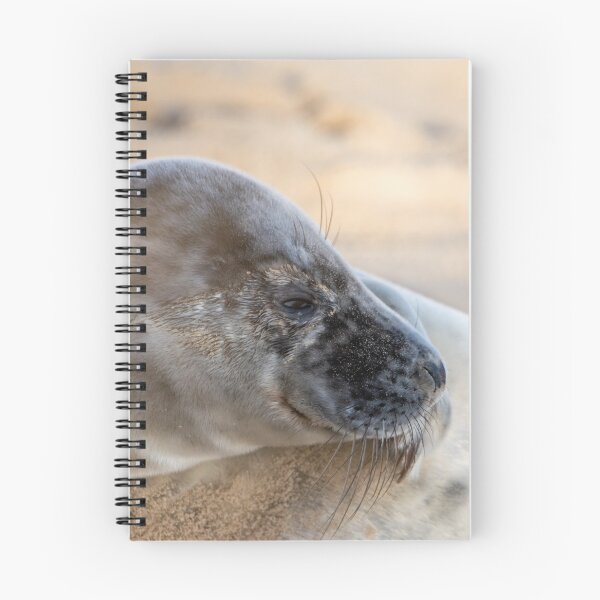 Item preview, North Norfolk grey seal designed and sold by cdkphotos.