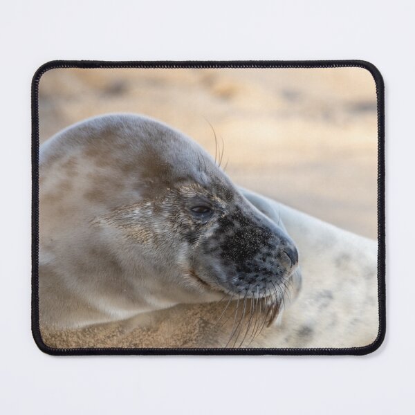 Item preview, North Norfolk grey seal designed and sold by cdkphotos.