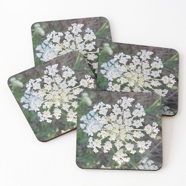 Item preview, Wild Carrot Flower designed and sold by DesignMore21.