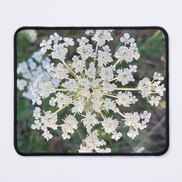 Item preview, Wild Carrot Flower designed and sold by DesignMore21.