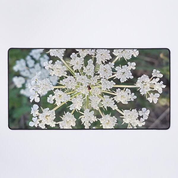 Item preview, Wild Carrot Flower designed and sold by DesignMore21.