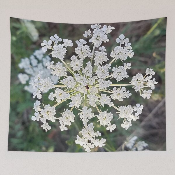 Item preview, Wild Carrot Flower designed and sold by DesignMore21.