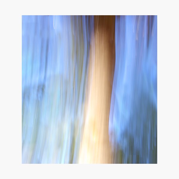 Item preview, Tree designed and sold by Elana Halvorson.