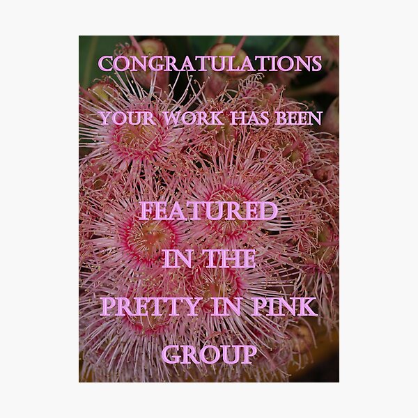 Item preview, Pretty in Pink - Feature Challenge designed and sold by W E NIXON  PHOTOGRAPHY.