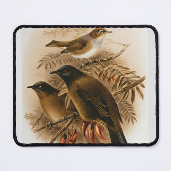 Item preview, The silver eye, male and female birds painting designed and sold by BestDesign87.