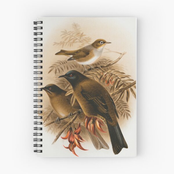 Item preview, The silver eye, male and female birds painting designed and sold by BestDesign87.