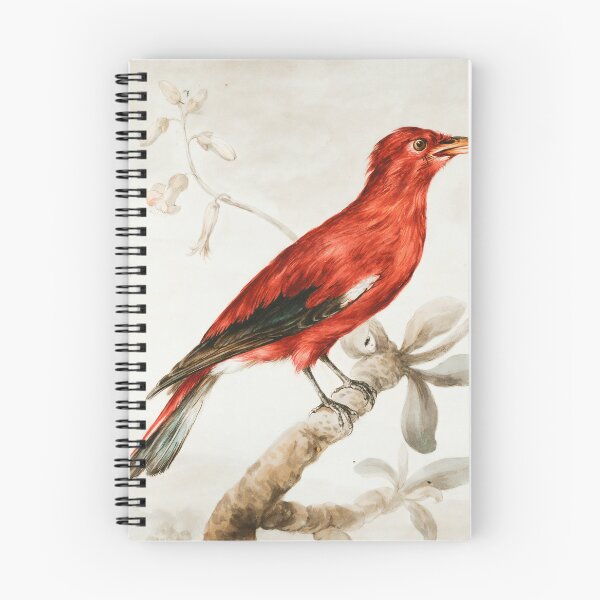 Item preview, Crimson Roller bird perched on branch illustration designed and sold by BestDesign87.
