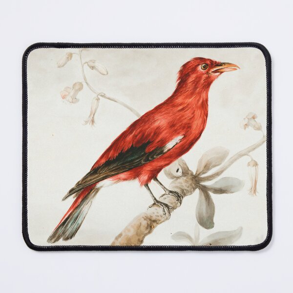 Item preview, Crimson Roller bird perched on branch illustration designed and sold by BestDesign87.