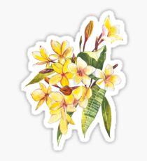 Plumeria Sticker