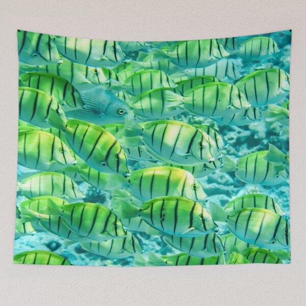 Item preview, Sturgeon fish designed and sold by carrizizi.