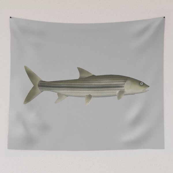Item preview, Striped Pikecarp designed and sold by fishfolkart.
