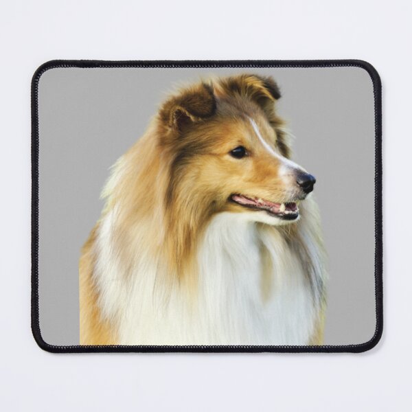 Item preview, De Chien De Berger Shetland Sheepdog, Cute Sheltie Dog, Funny Sheltie Owner Lover designed and sold by DesignVertex.