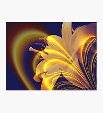 Shining Flower Photographic Print