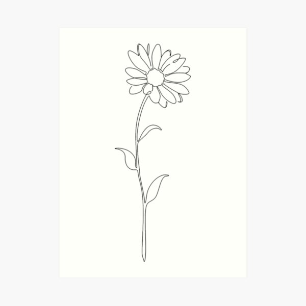 daisy line art