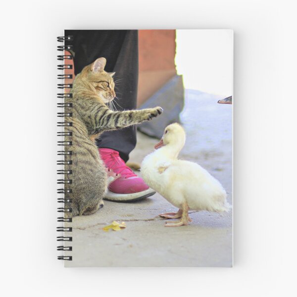 Item preview, Cat Play With Ducks  designed and sold by Momo-Stores.