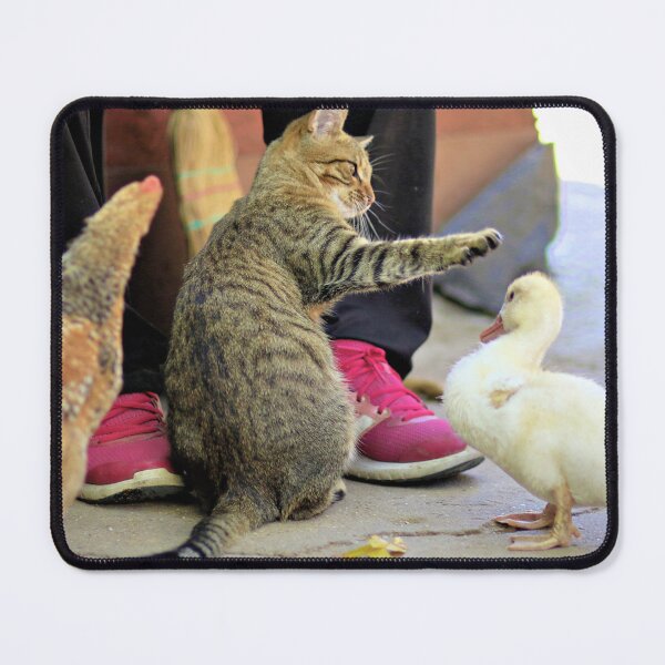 Item preview, Cat Play With Ducks  designed and sold by Momo-Stores.