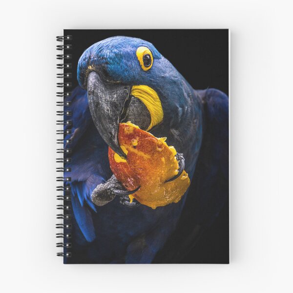 Item preview, Blue Hyacinth Macaw designed and sold by Davamandine.