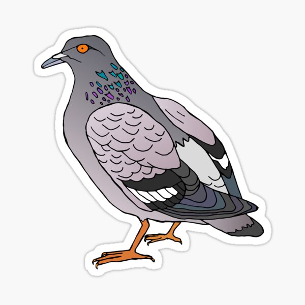Rock Dove Love Sticker