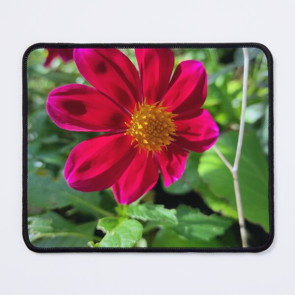 Item preview, Red Blossom designed and sold by Gourmetkater.