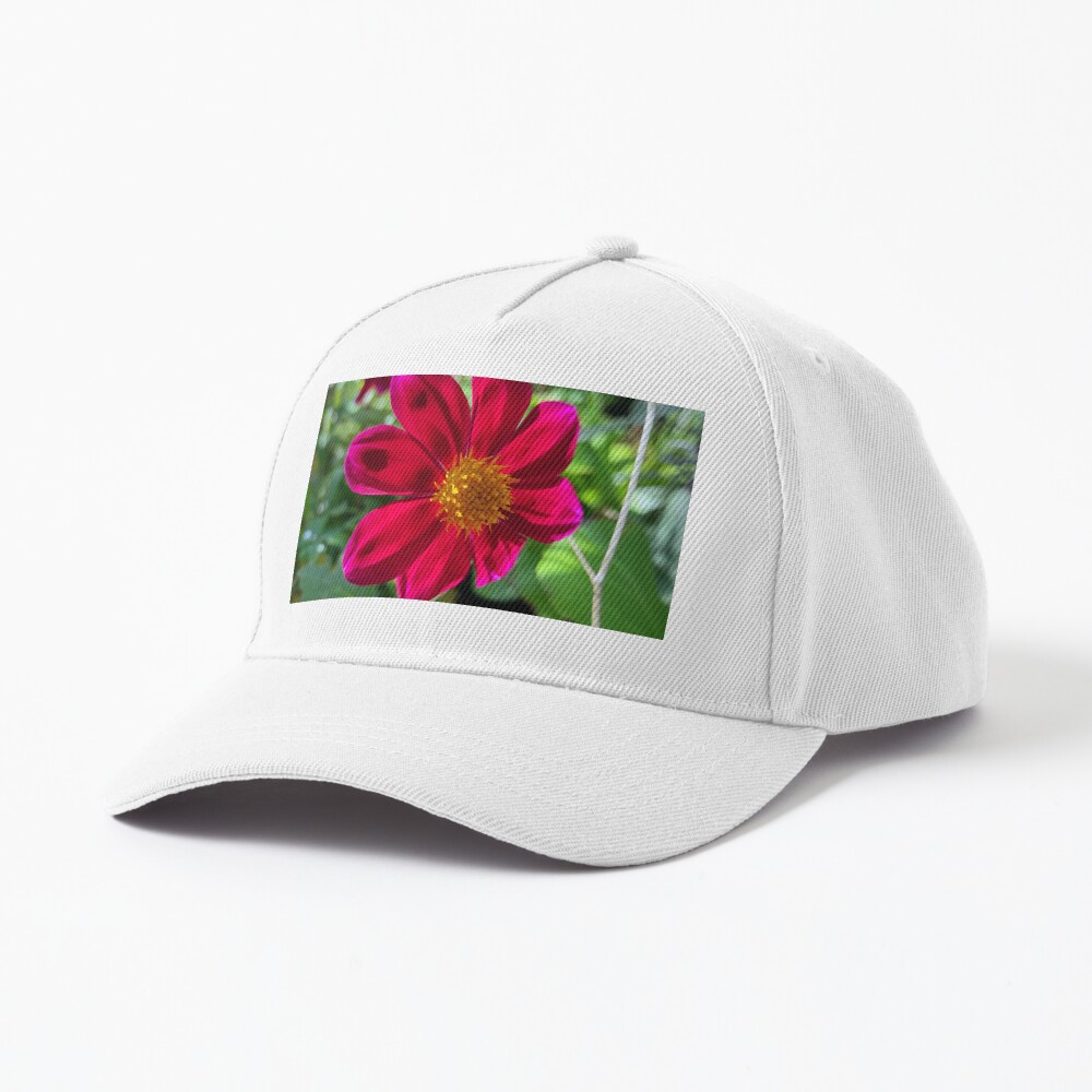 Artikel-Vorschau von Baseball Cap, designt und verkauft von Gourmetkater.
