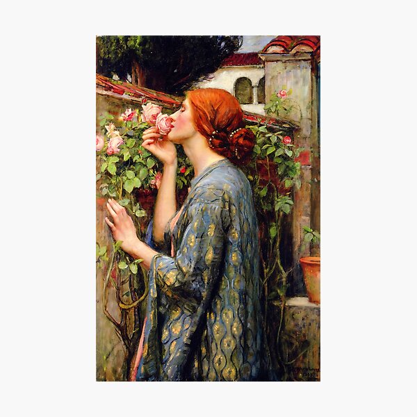 The Soul of the Rose by John William Waterhouse Photographic Print