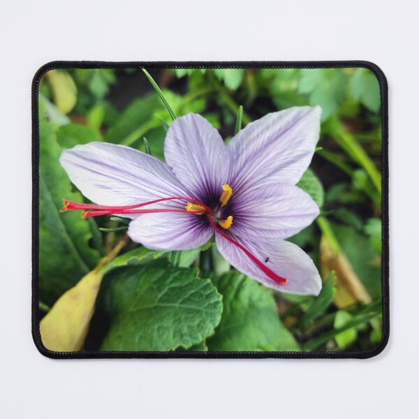 Item preview, Saffron Blossom designed and sold by Gourmetkater.